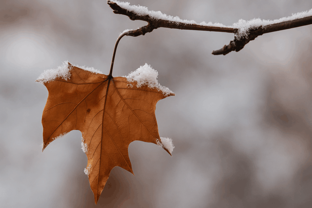 Seasonal Cleaning: Preparing Your Home for Fall and Winter in Seattle