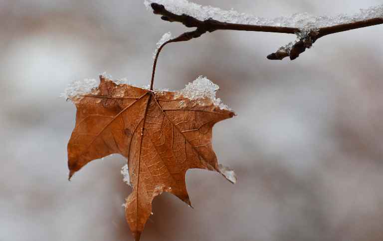 Seasonal Cleaning in Seattle: How to Prepare Your Home for Fall and Winter